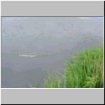 mvc-350v.html