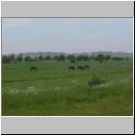 mvc-352x.html